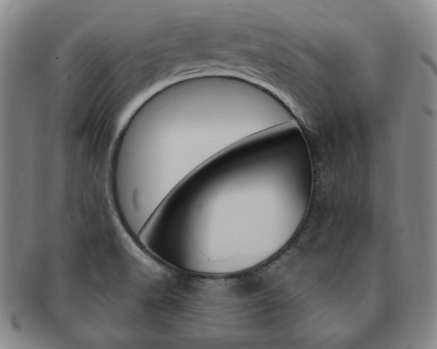 X0000091641518200708230937