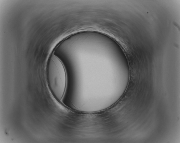 X0000091641519200708230937