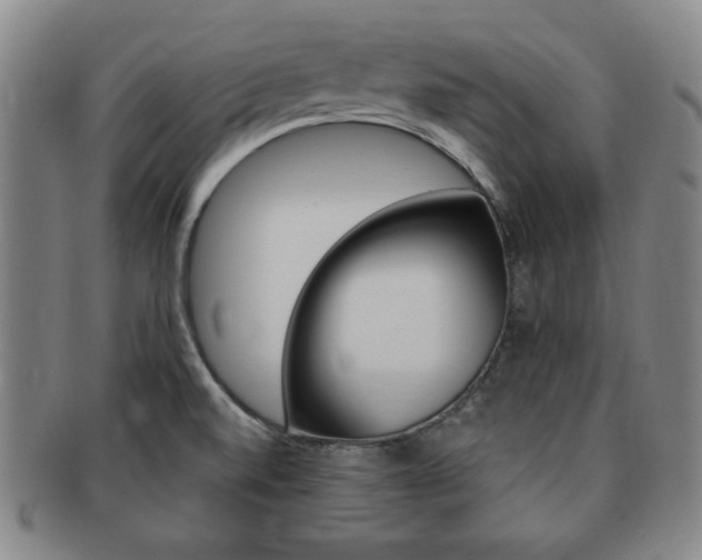 X0000091641520200708230937