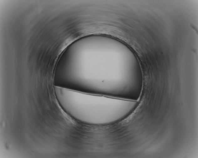 X0000091641521200708230937