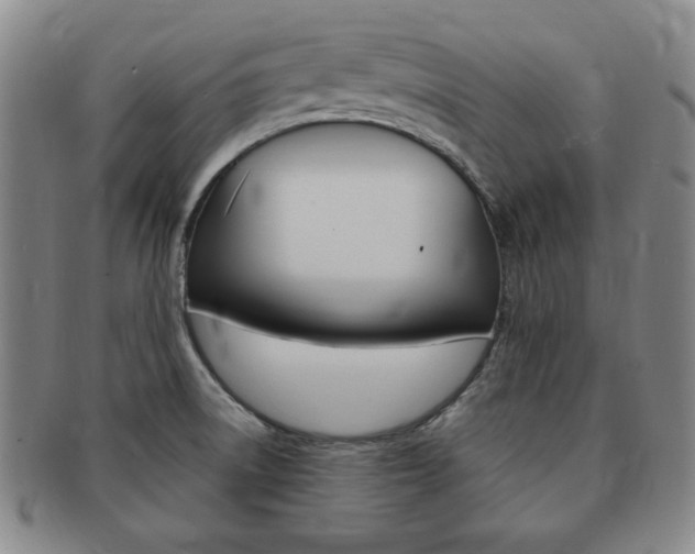 X0000091641522200708230937