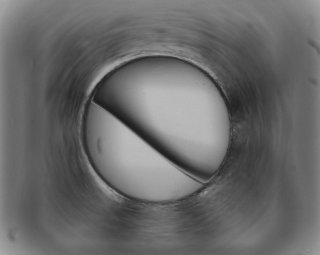 X0000091641523200708230937