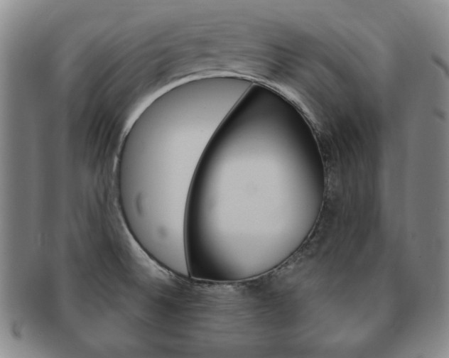 X0000091641524200708230937