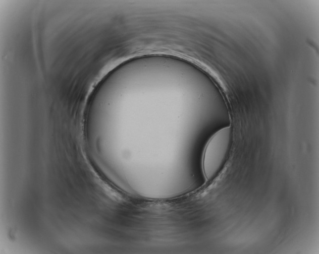 X0000091641525200708230937