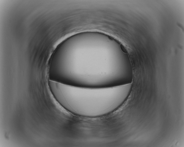 X0000091641526200708230937