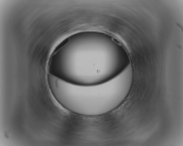 X0000091641528200708230937