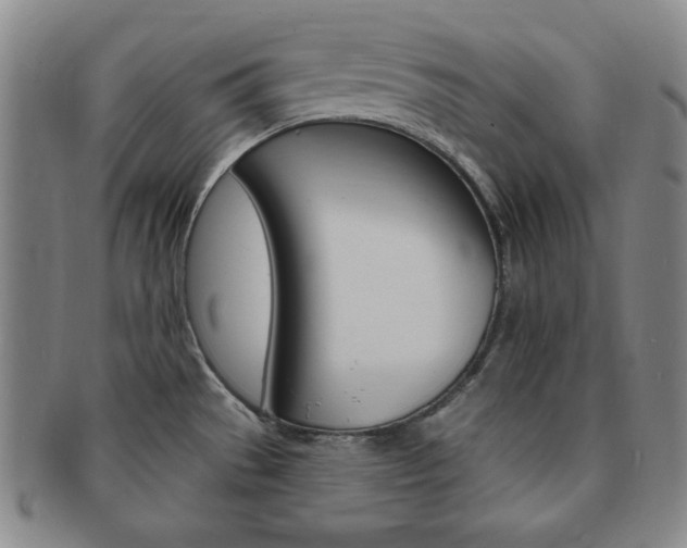 X0000091641529200708230937