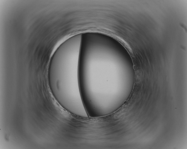 X0000091641530200708230937