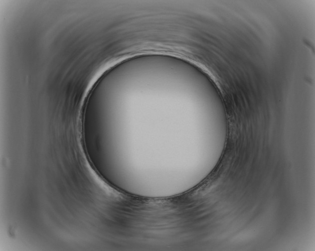 X0000091641531200708230937