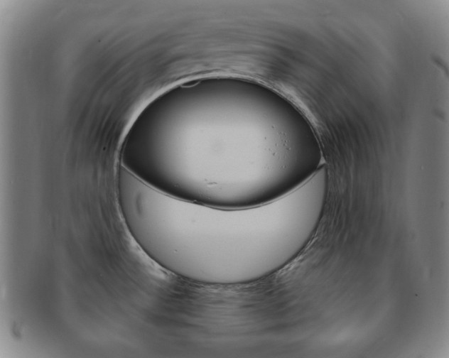 X0000091641532200708230937