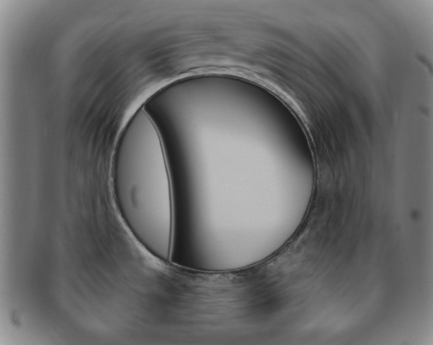 X0000091641533200708230937