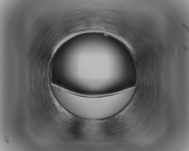 X0000091641534200708230937
