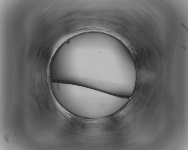 X0000091641535200708230937