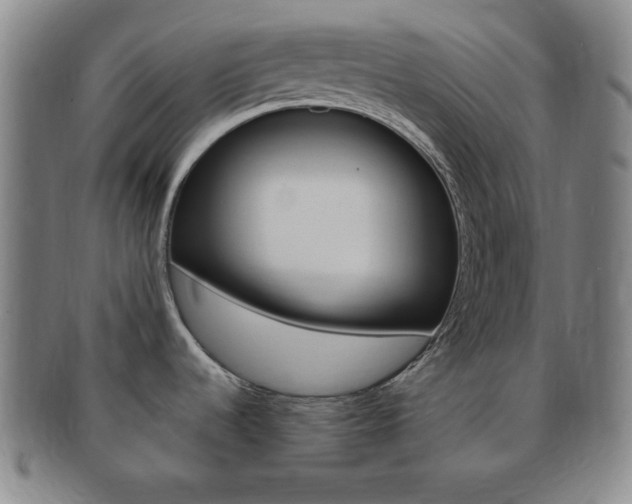 X0000091641536200708230937