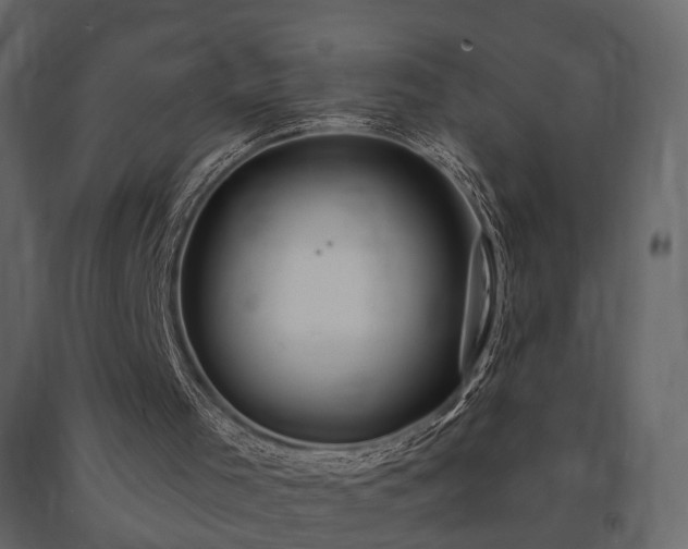 X0000091640001200708231209