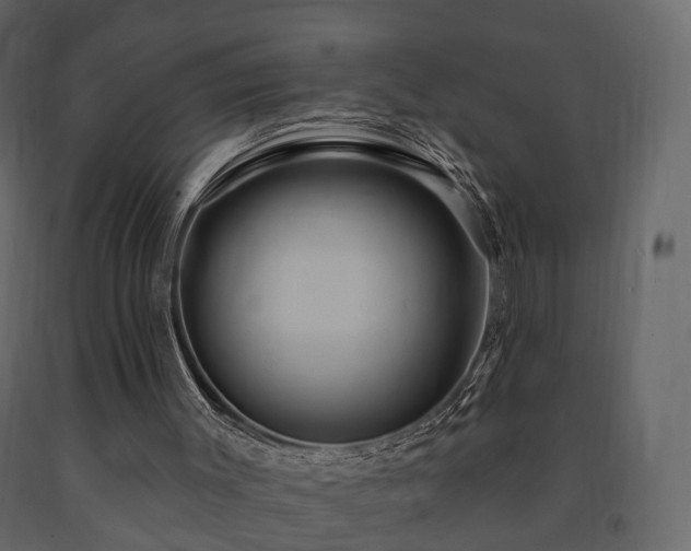 X0000091640003200708231209