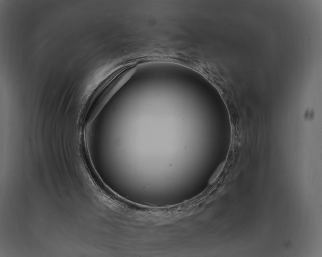 X0000091640005200708231209