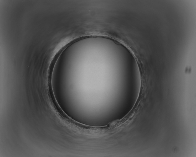 X0000091640008200708231209