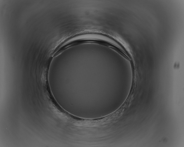 X0000091640009200708231209