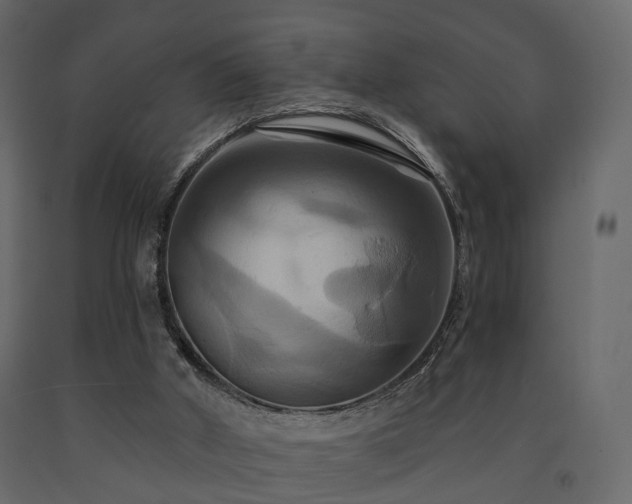 X0000091640010200708231209