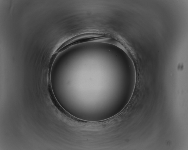 X0000091640011200708231209