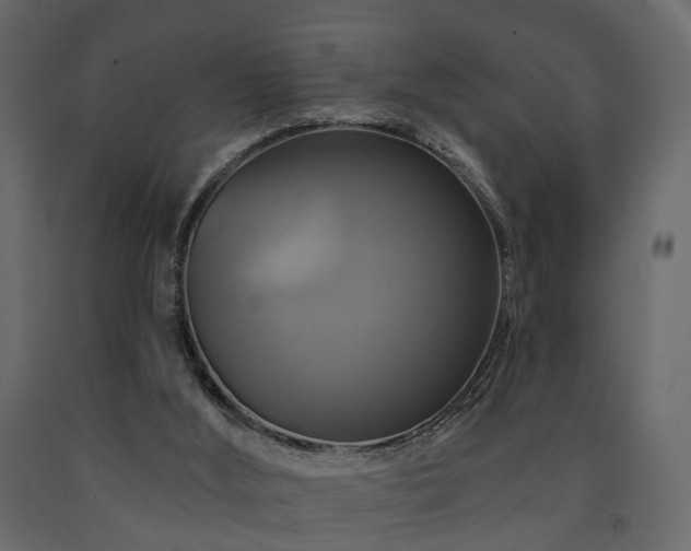 X0000091640012200708231209