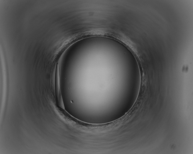 X0000091640013200708231209