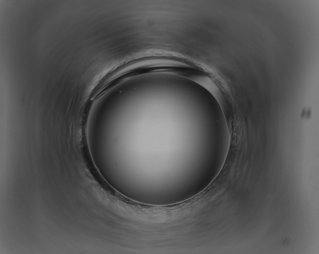 X0000091640015200708231209