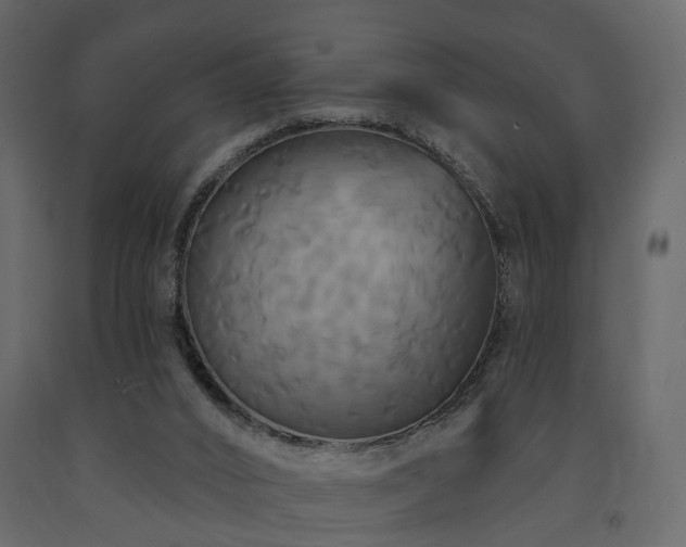 X0000091640016200708231209