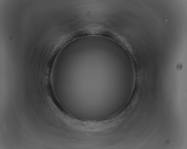 X0000091640018200708231209