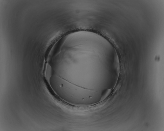 X0000091640019200708231209