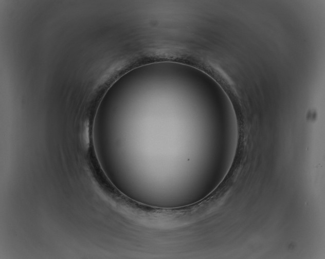 X0000091640020200708231209