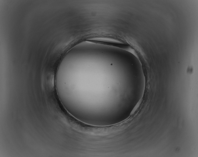X0000091640021200708231209
