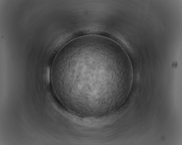 X0000091640022200708231209