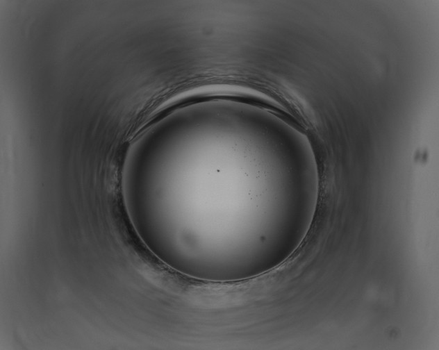 X0000091640025200708231209