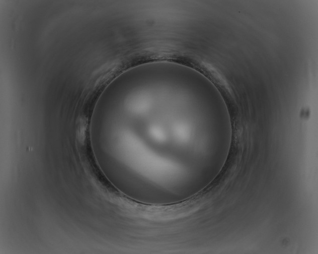 X0000091640026200708231209