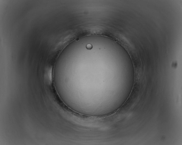 X0000091640028200708231209