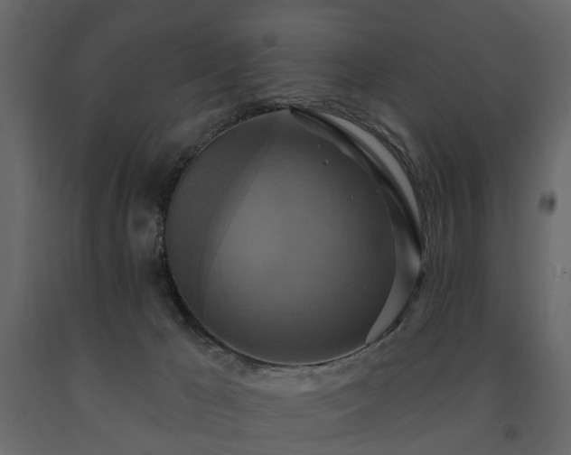 X0000091640029200708231209