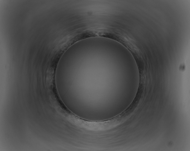 X0000091640030200708231209