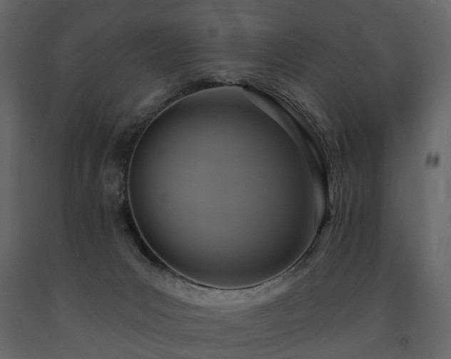 X0000091640031200708231209