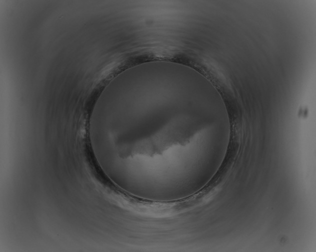 X0000091640032200708231209