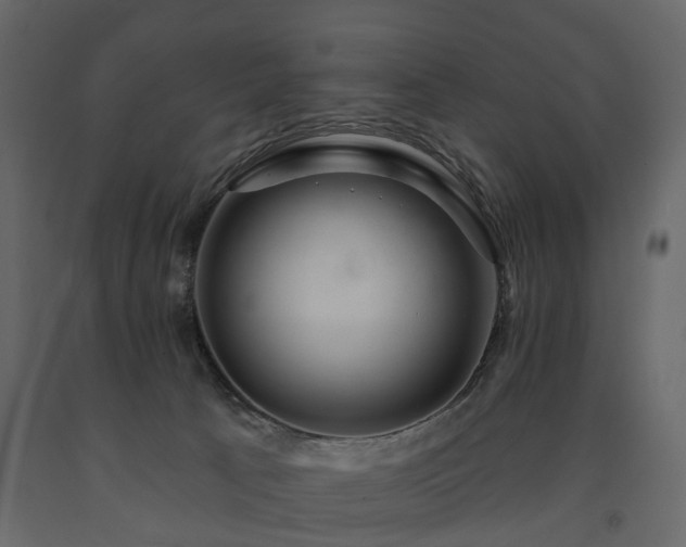 X0000091640033200708231209
