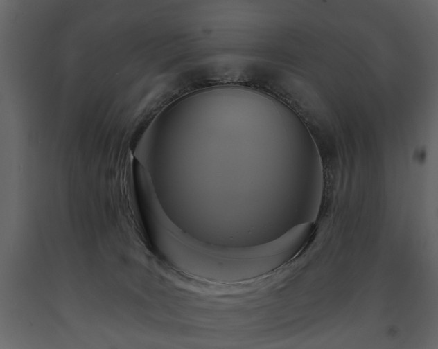 X0000091640035200708231209