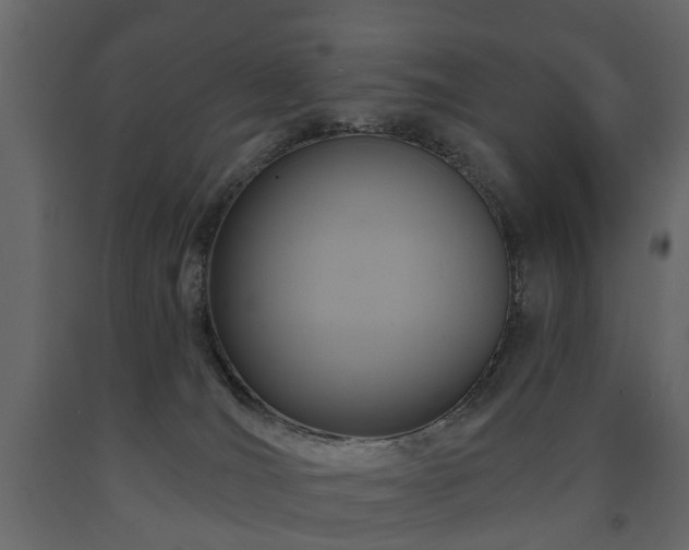 X0000091640036200708231209