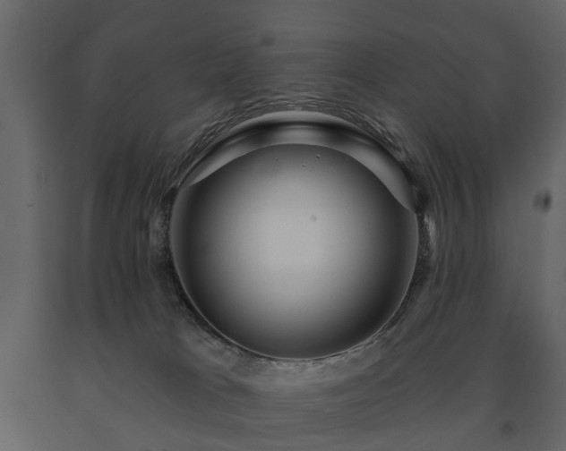 X0000091640037200708231209