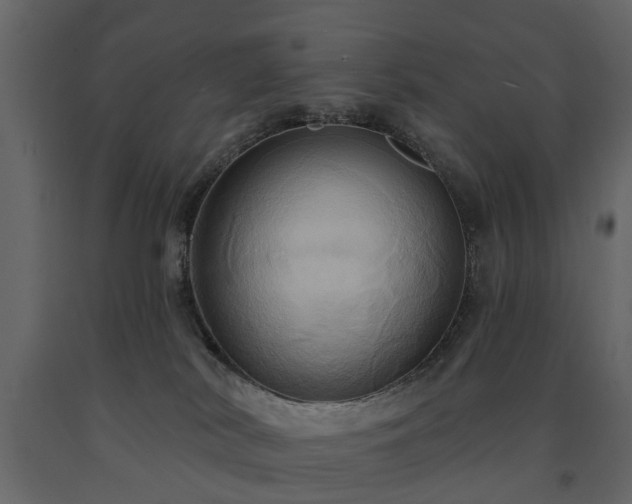 X0000091640038200708231209