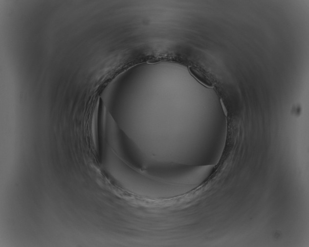 X0000091640039200708231209