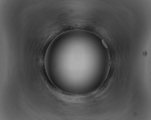 X0000091640040200708231209