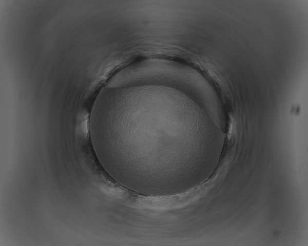 X0000091640041200708231209