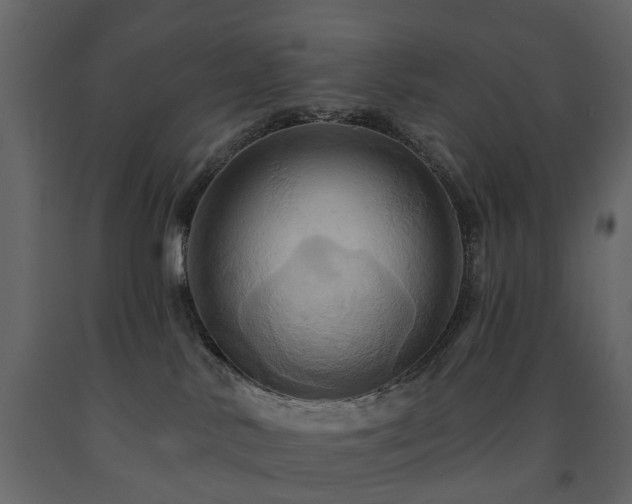 X0000091640042200708231209